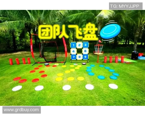 深圳飞盘队与广州飞盘队耐力对决赛后分析与反思